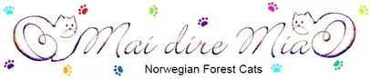 Allevamento Mai dire Miao - Gatti delle Foreste Norvegesi