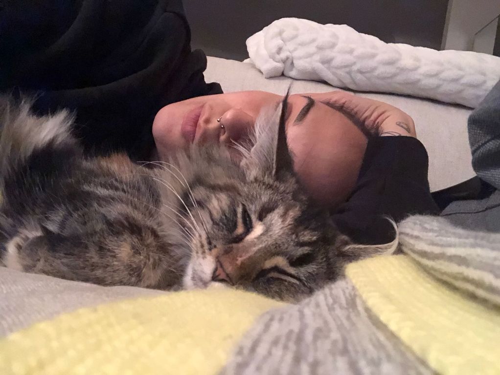 Gatti Norvegesi - cuccioli