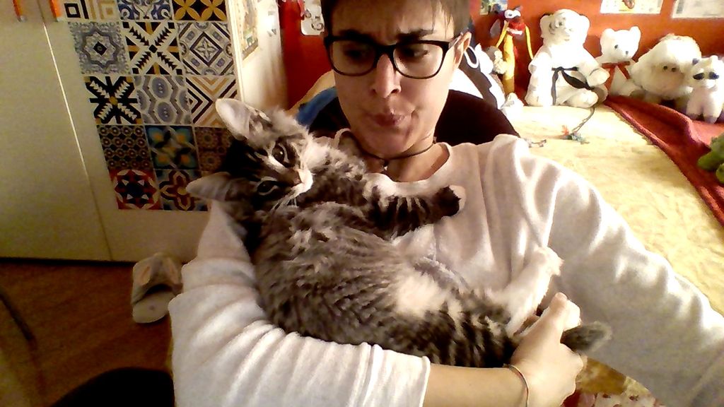 Gatti Norvegesi - cuccioli