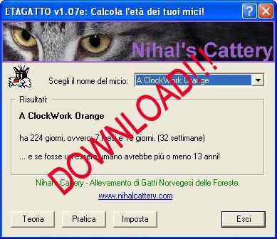 Calcolo et del gatto