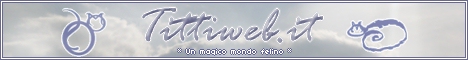 Gatti , gattini , mici e micini - Tittiweb - Un magico mondo felino